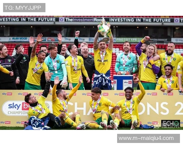 英超羽毛球专题深入探讨杭州羽毛球队的灵活战术与团队协作能力