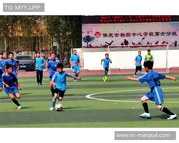 刘芳畅谈羽毛球生涯与欧冠足球的精彩交汇与人生感悟