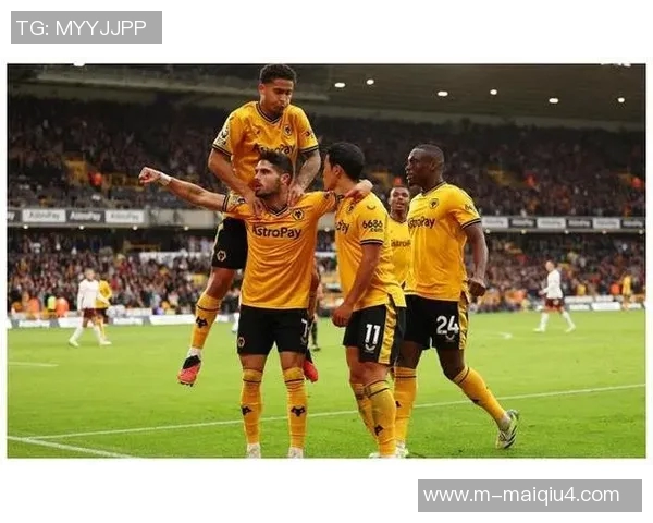 体育实时数据南京网球队边路渗透战术深度解析与实战应用探讨