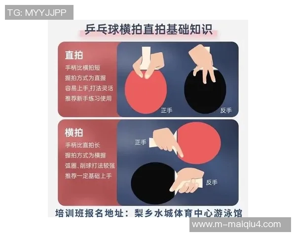 运动数据刘娜独家分享乒乓球技巧与心得体会助你提升球技的秘密宝典